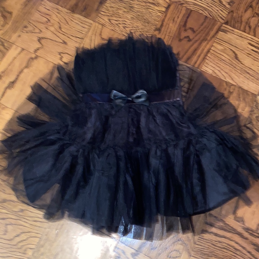 Black Flared Tulle Dress black swan